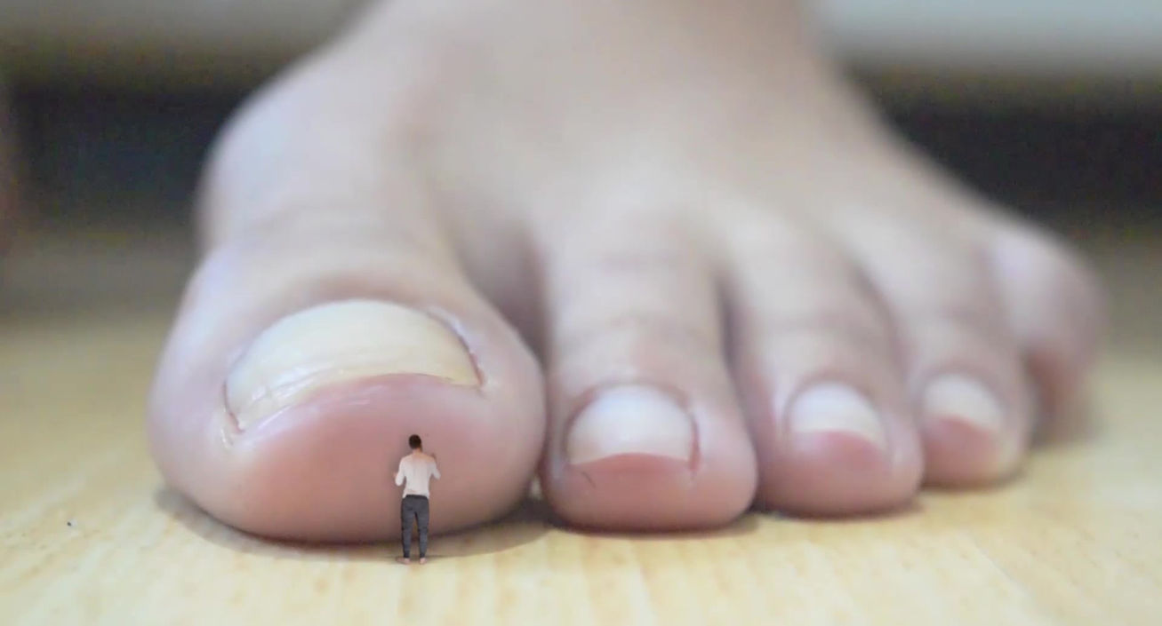 Tiny Tenants trailer